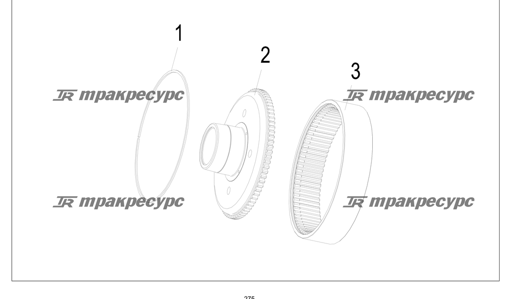P000275.png