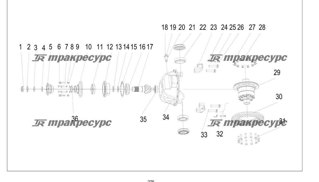 P000275.png