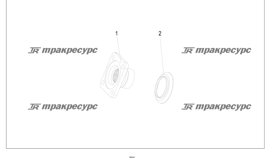 P000301.png