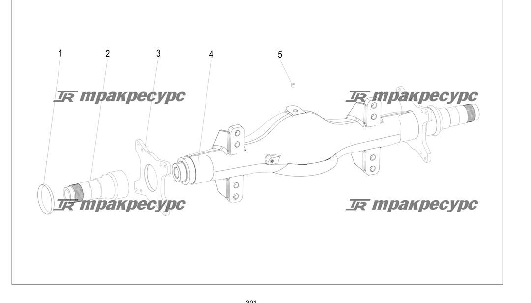 P000301.png