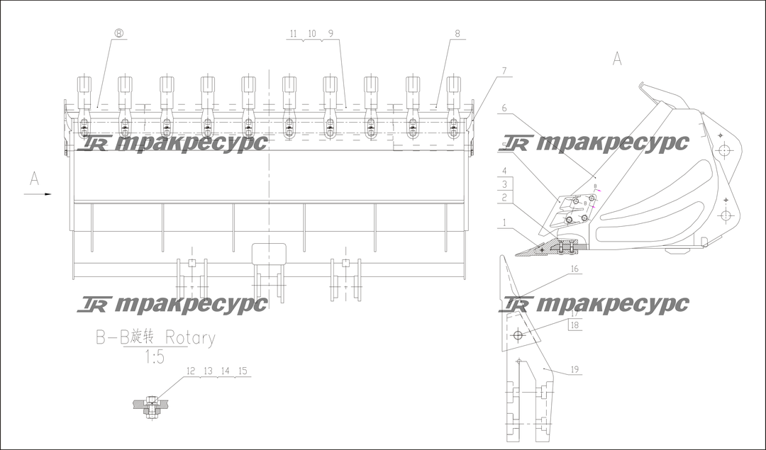 P000307.png